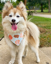 Load image into Gallery viewer, Viva Pan Dulce Reversible Bandana
