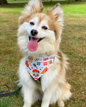 Load image into Gallery viewer, Viva Pan Dulce Reversible Bandana
